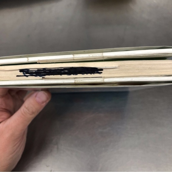 Cherokee Bat & the Goat Guys by: Francesca Lia Block, Hardback book - Picture 7 of 7